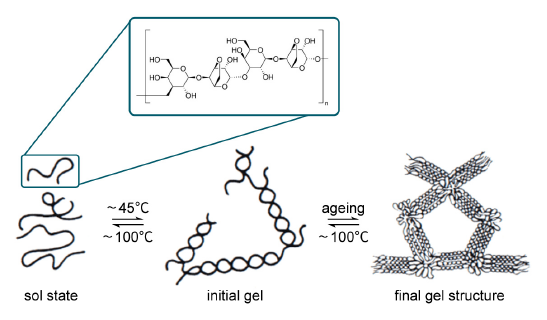 Agarose-based resins platform