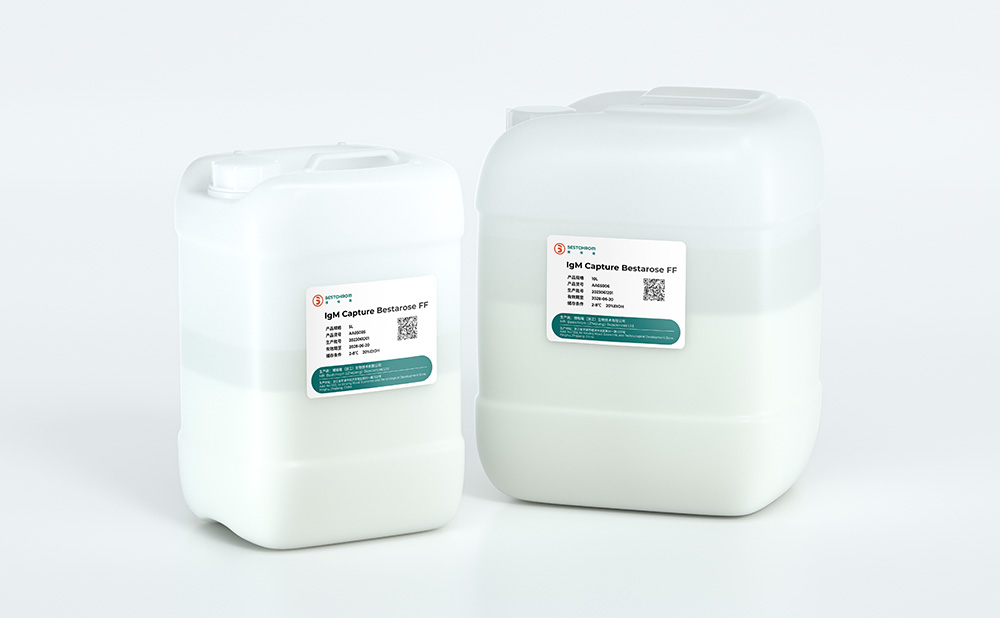 Sulfur-philic affinity resin, 2-mercaptopyridine ligands;Rapid and efficient purification of IgM;High yield in eluted product, retained bio-activity;Good mechanical and chemical stability, suitable for large scale bio-processing.