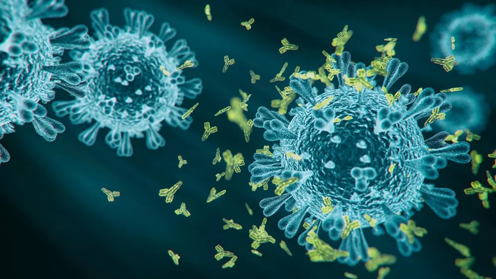 A brief introduction of purification process of VLPs vaccine