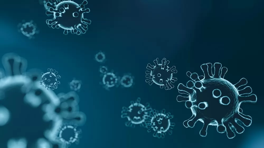 Purification Process of Herpes Zoster Vaccine