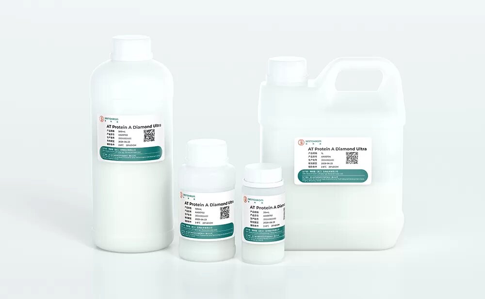 High DBC: ≥75mg/mL , significant improvement in purification efficiency;High pressure: high rigid agarose beads, particle size 60μm, max pressure 5 bar;Low back pressure: back pressure lower than 2 bar when flow rate ≥300cm/h(BXK300/500，H=20cm);Excellent alkaline stability: protein A ligands which allows the use of 0.1~0.5M NaOH for CIP.;Easy to scale-up: good lot-to-lot consistency, ensures stability in product quality and production.