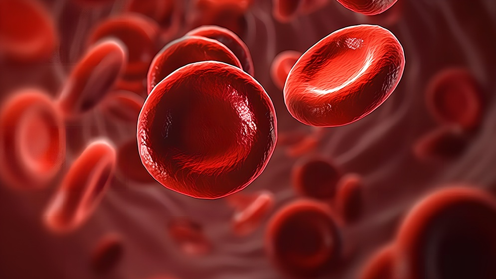Purification approach for blood products
