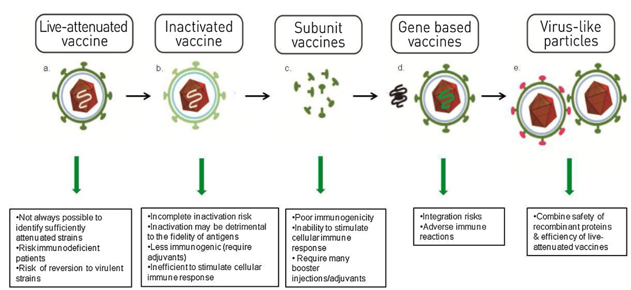 A brief introduction of purification process of VLPs vaccine