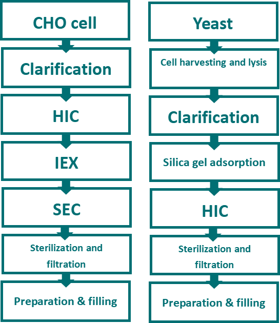 VLP vaccine downstream purification process