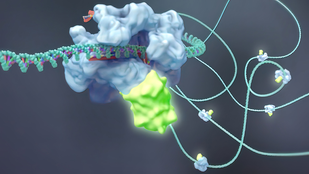 Tips for Getting the Right Resin for His-tagged Protein Purification