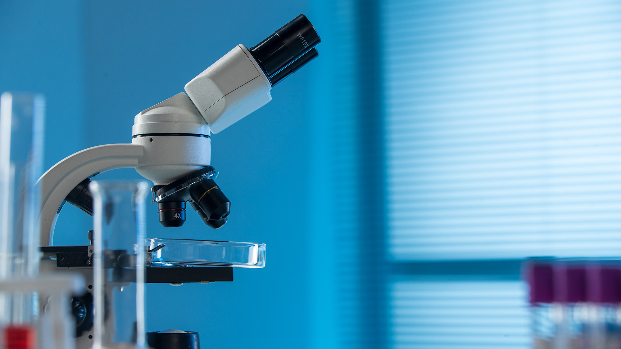 Comparability study Summary of Biologics Comparability Studies