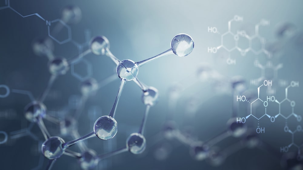 Fundamental principles of chromatography purification 