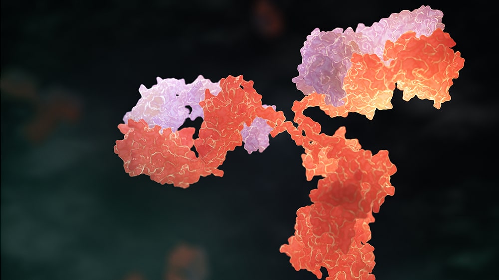 How to boost BsAb purification performance?Advantages and challenge in pH gradient elution
