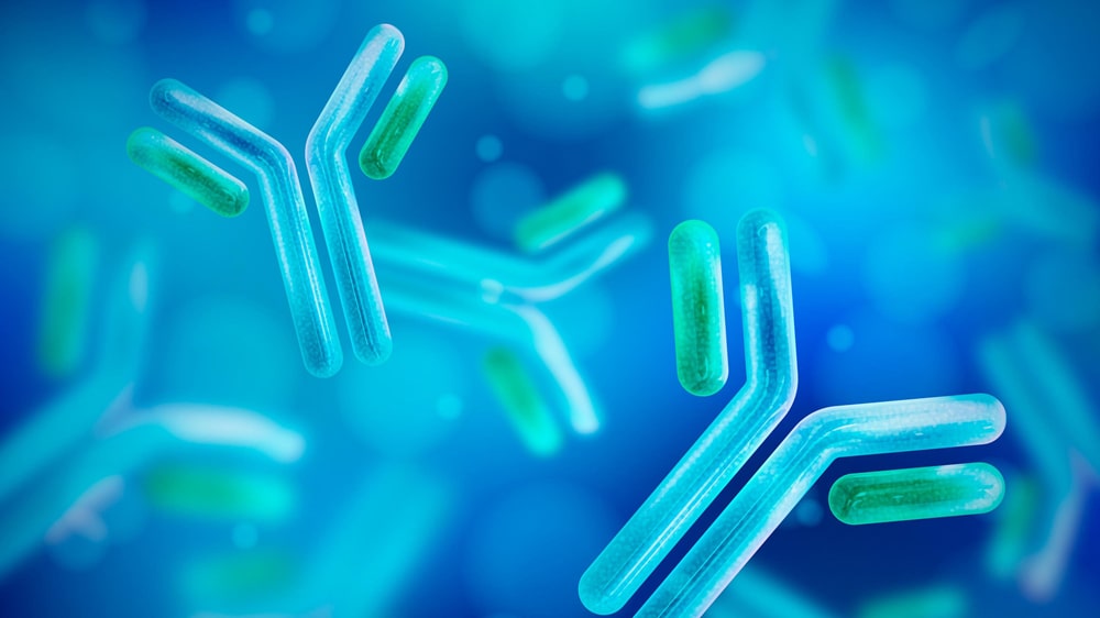 Research Paper Sharing | How to remove aggregate from antibody? Try Protein A resin-based approach