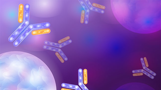 Application of cation exchange chromatography in the purification of ADC
