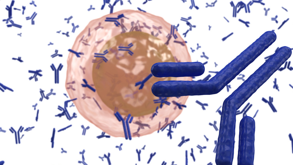 Aggregate removal| The application of HIC resin in bsAbs purification
