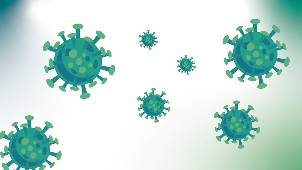 Virus removal performance of AEX resins and influencing factors