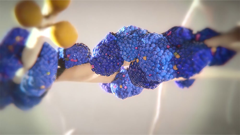 From R&D to application: GLP-1 purification strategy 