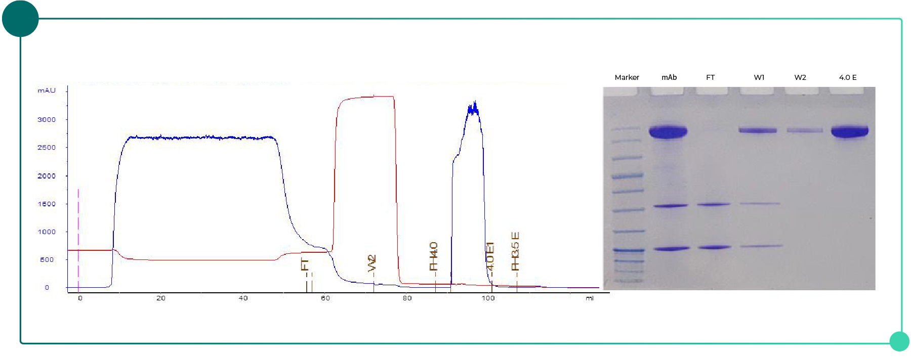 resin-selection-fig-en03