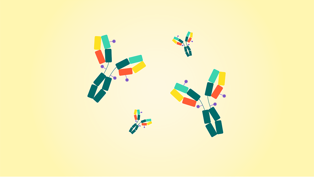 Downstream Purification Strategies for Antibody–Drug Conjugates