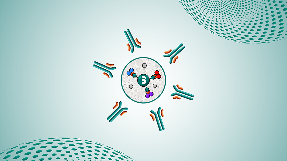 Is Higher Binding Capacity Always Better When Selecting Protein A Resins?
