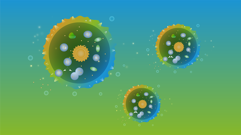 A deep Dive into Non-specific Adsorption