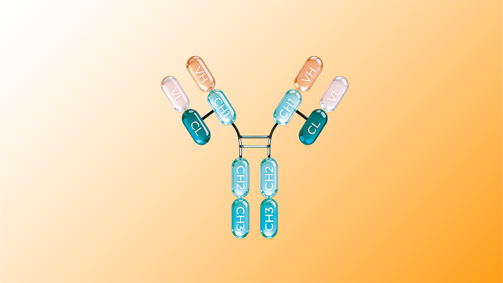 From Titer Surge to Process Intensification: Why Column Chromatography Remains the Cornerstone of Antibody Purification